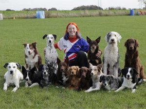 h dogs smaller.jpg